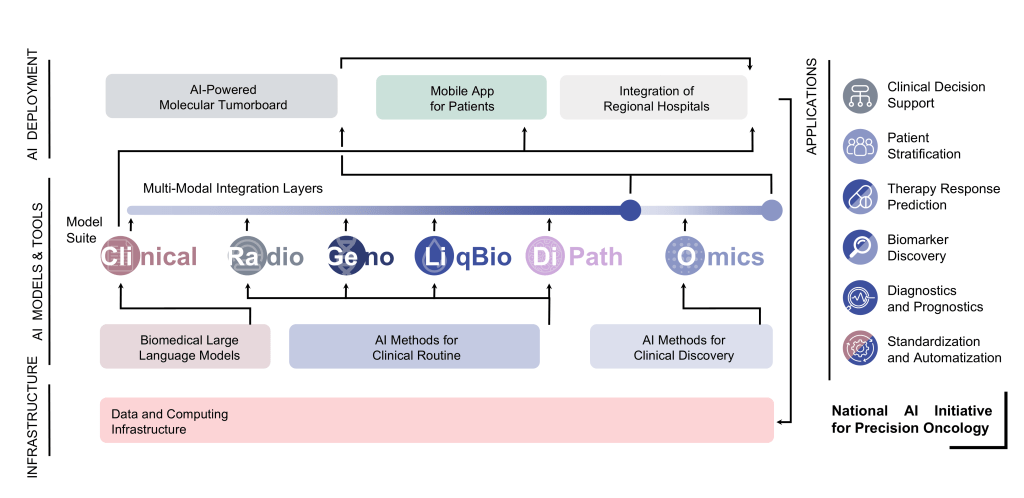 NAIPO model suite: infrastructure, AI models and tools, deployment and applications